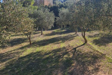 Landejendom i Asco, Tarragona, Asco - € 29.000 | Ref: 1003 Pasco - foto 2